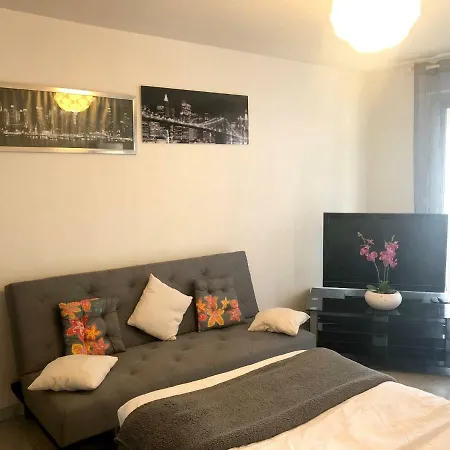 Studio Rue Du Marechal De Logis J Fellegara * カンヌ