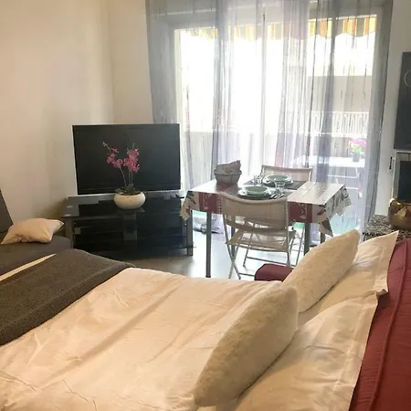 Studio Rue Du Marechal De Logis J Fellegara * カンヌ